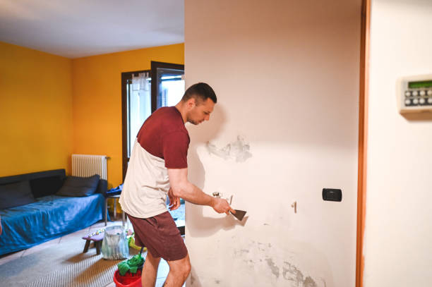 Best Mold Testing and Inspection Services in Tokeneke, CT